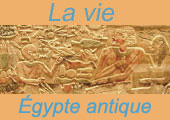 Image:Cartouche_vie.jpg